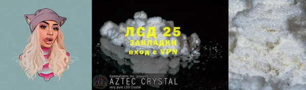 эйфоретик Алзамай