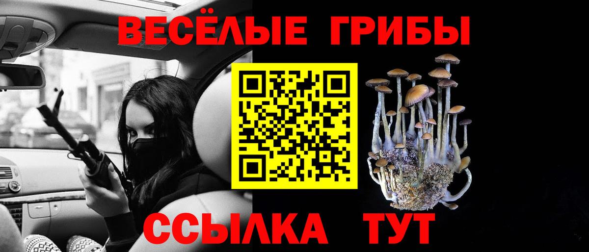 Псилоцибиновые грибы MAGIC MUSHROOMS Кызыл